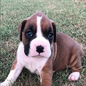 Meet your Posher, Elizabeth